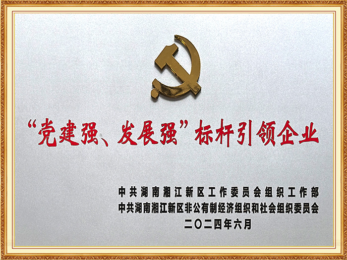 党建强、发展强、标杆引领企业（湘江新区）
